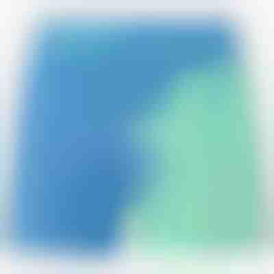 Farbwechselnde Badeshorts | SWITCHOPS