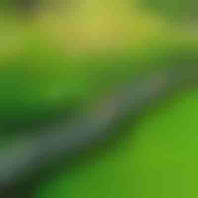 Steinartige Gartenumrandung (10 Stk.) | MINIFENCE