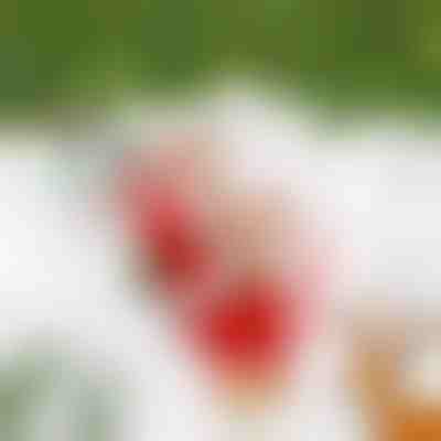 Kletternder Weihnachtsmann SANTACLIMB