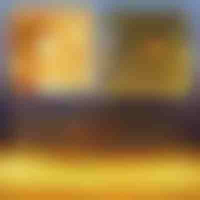 Festliches LED-Lichtgitter | LUMONET