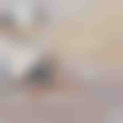 Aufblasbares Schlafsofa (Convertible) | SOFLINKA