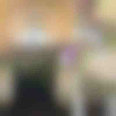 Glyzinienblütenranken-Simulation | WISBLOOM