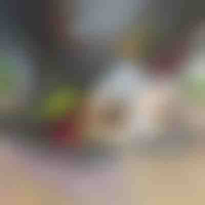 12-in-1 Gemüseschneider & -hacker (inkl. 7 Klingen) | CHOPMASTER