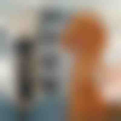 Haarschneideset für Haustiere | GULAMACHINE