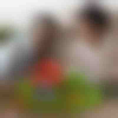 Magnetische Mini-Bastelwürfel (48 Stück) | MAGCRAFTI