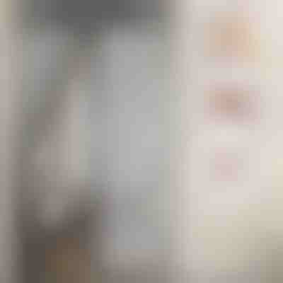 Magnetisches Moskitotürnetz | INSECTPROTECT