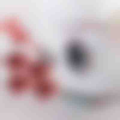 Möbeltransport-set mit 4 gleitern und heber | LIFTROLLERS