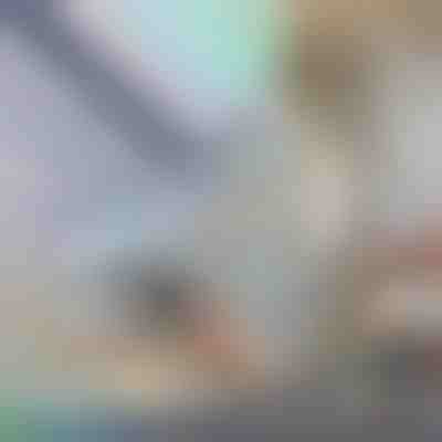 Dekorative Fenster- und Sichtschutzfolie | PRISMWRAP