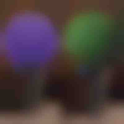 Dekorative Pflanzenkugel | TOPIORB