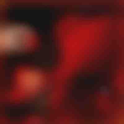 Das geschenk, das liebe spricht | LOVEBEAR