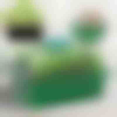 Anzuchtschale mit Fächern für Setzlinge | PLANTURKA