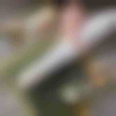 Einfacher sushi-roller für zuhause | SUSHROLIO