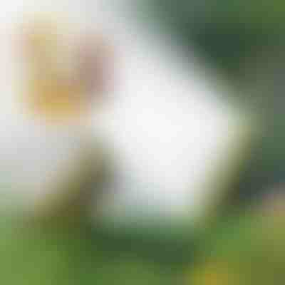 Mehrkopf-Schlauchberegnung | SPRAYMASTER