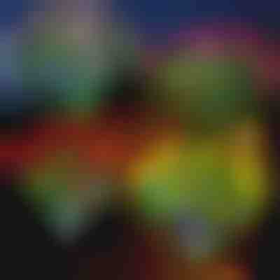 Solarblumenleuchten | ROSILUME