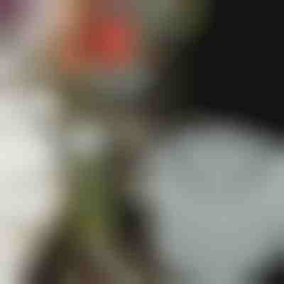 Blumenhalter für schöne Gestecke (3 Stück) | VASEKA