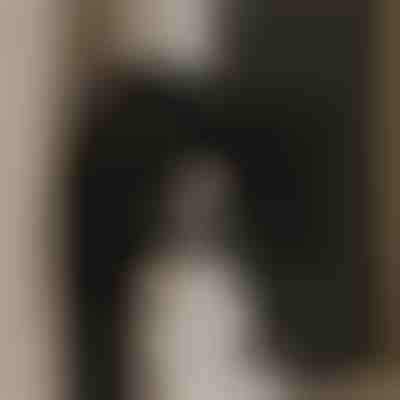 Leistungsstarker Abluftventilator für saubere Luft | VENTORIS