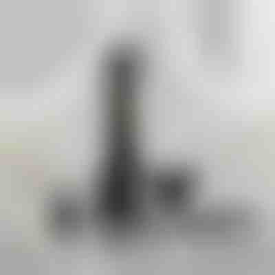 Vielseitiger Pflege-Trimmer | SHAVIX