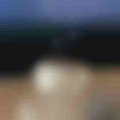 Beruhigender Aromadiffusor | MEDUSAMIST