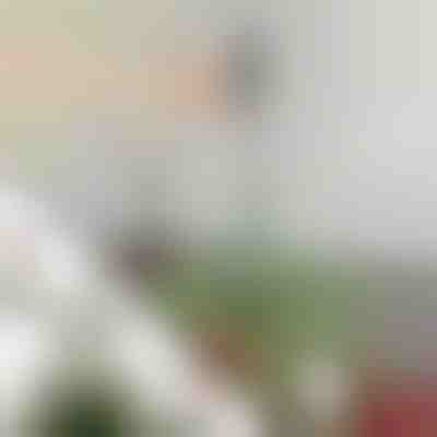 Verstellbare Baumspitzen-Stabilisatorstange | STABLESTAR