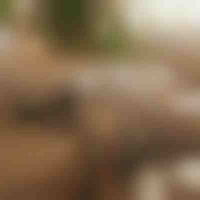 Magnetischer selbstklebender Kabelorganizer (12 Stück) | CABLIP