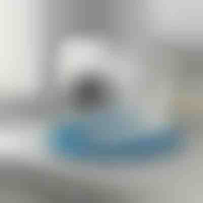 Flexibler Trockner-Entlüftungsreiniger | DRYKIT