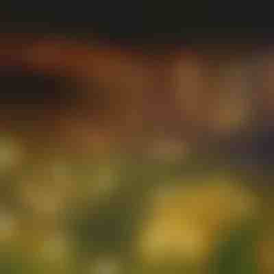 Solar-Gartenleuchten (warmweißes Licht) | SOMPEX