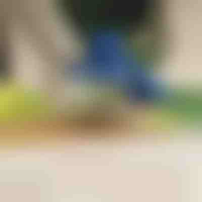 Elektrischer Obst- und Gemüseschäler | PEELMATIC